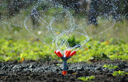 Sprinkler landscape and repairs: