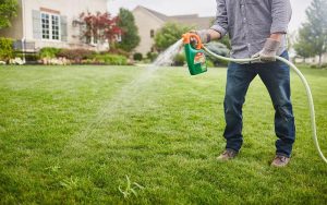 how-to-get-rid-of-crabgrass-step-4