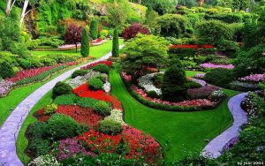 jardin2