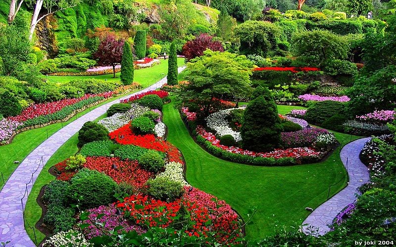 Landscape Designs