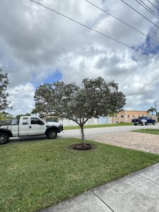 IMG_0598 (1)
