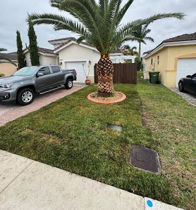 Sod Installation